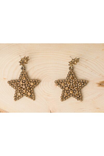 Eva Takı Zirkon Taşlı Yıldız Model Bijuteri Gold Küpe