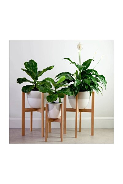 3-Piece Special Series Wooden Pot Leg