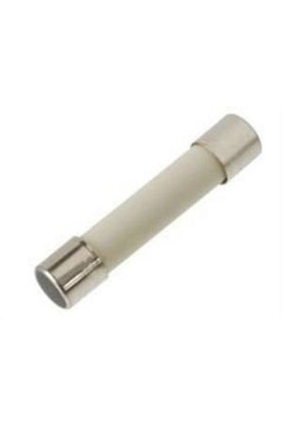 labshop41 8.0 أمبير 250 فولت (5 × 20 مم) بطيء × 1 قطعة (rf068)