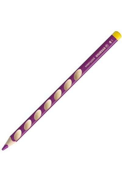Stabilo Stabılo Easy Colors Painting Pen Left Hand 331/345