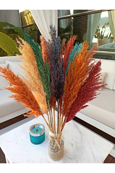 hernandez Kuru Çiçek Pampas 10 Adet 50-70 Cm Boy - Karışık