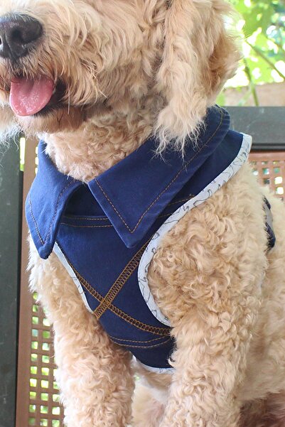 Globodepo Köpek Koşum Kaçış Önleyici Göğüs Gövde Tasması Ayarlanabilir Yakalı Bandanalı Aksesuarlı