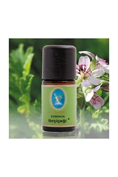 Nuka Defne Esencia 10 مل زيت زهرة إبرة الراعي