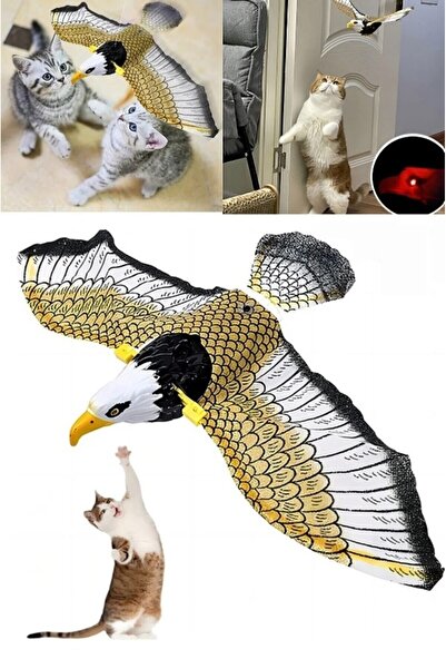 AYGÖREN HOME Uçan Kartal Kedi Oyuncağı Sesli Hareketli Işıklı Sabitlenebilir ...