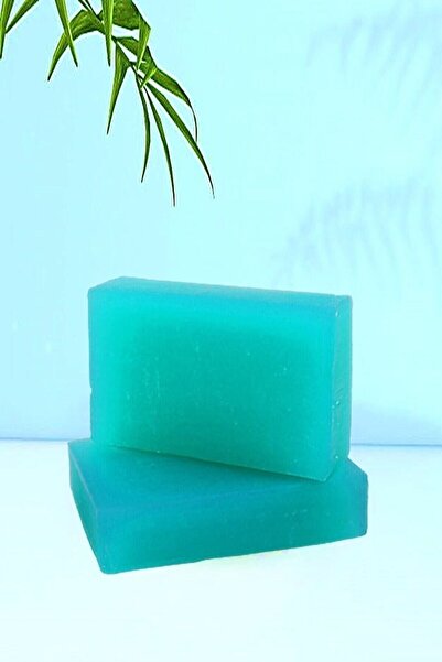 Seonland صابون الأعشاب الطبيعي المصنوع يدويًا بالجلسرين والصبار 100 جرام