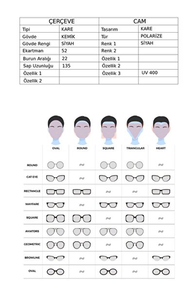 De Valentini Dv 1503 01 Men's Sunglasses