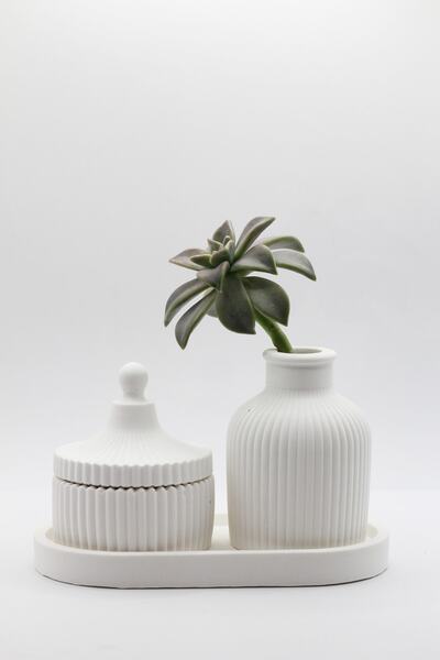 a&p No:1 Bohem Pampas Vazo Ve Mum Seti 3 Parça