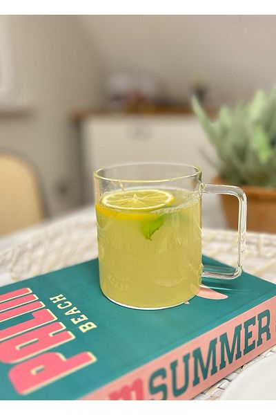 The Mia Borosilicate Glass Mug 370cc