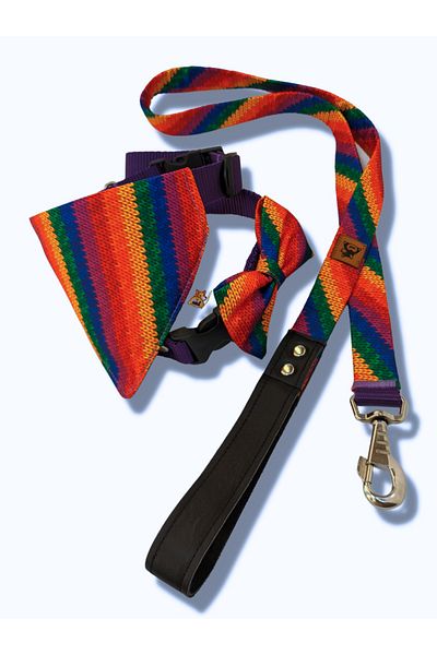 UTDpet Rainbow Standard Dog Collar Set and Accessories (with Scarf and Bow Tie)