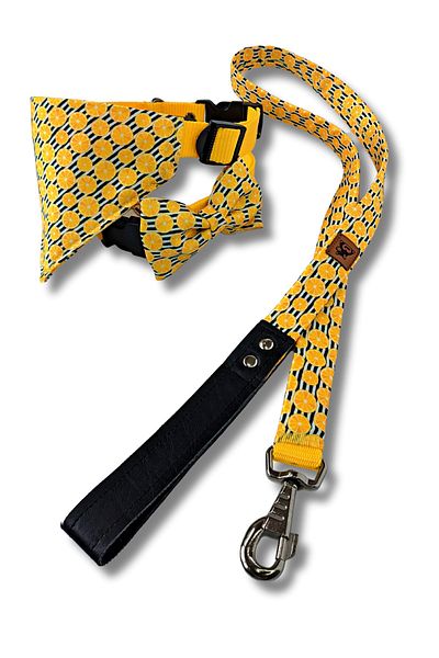 UTDpet Lemona Standard Dog Collar Set and Accessories (with scarf and bow tie)