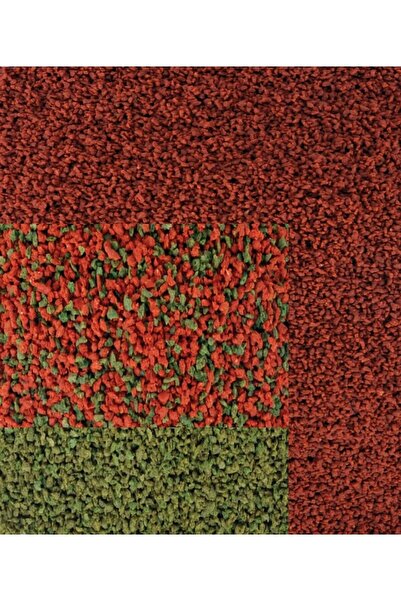 AMORE Discus 200 g, Malawi Cichlid 100 g, Ciklet Green 100 g Karışık Akvaryum...