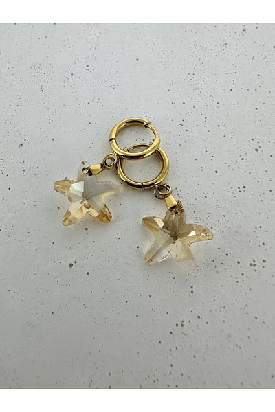Venüs Accessory Starfish Transparent Steel Earrings