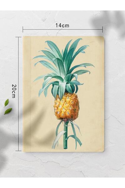 Postifull Vintage Defter Seti - 4 Adet Journal Notebook - Not Defteri - 14cm*20cm - 64 Sayfa