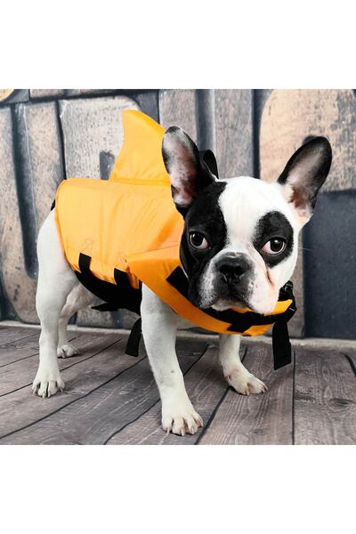 Lion Pet Shark Köpek Can Yeleği Yeşil Beden M(Medium)