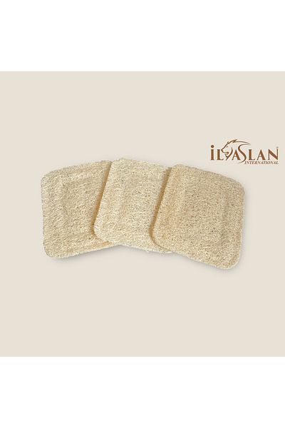 ilaslan international Natural Pumpkin Fiber Soap Pad (3 Pieces 10x8cm)