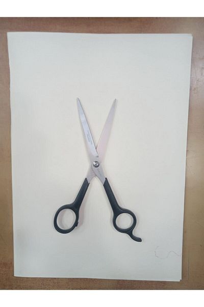 Taksun Barber Scissors BT04
