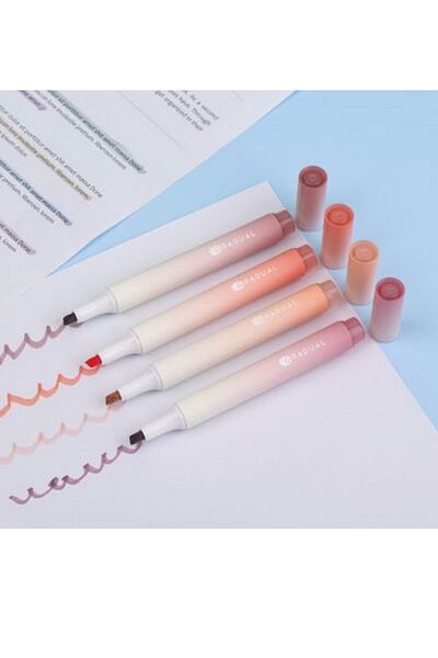 NaSaDAN Pink Tones 4-Piece Highlighter Set