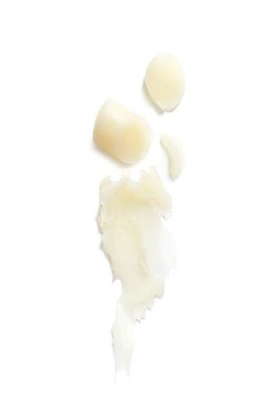 L'Occitane Nourishing Softening Lip Balm 4.5 gr