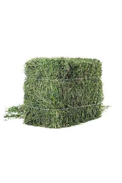 BirdLife Doğal Cüce Tavşan Kuru Yonca Otu 350gr.