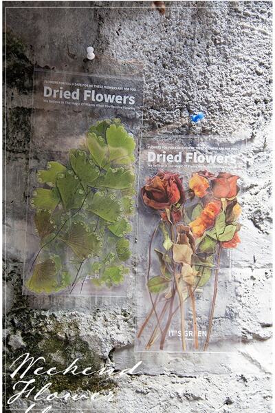 SF SCRAPBOOK KIRTASİYE Vintage Dried 6 Pieces Flower Pet Sticker/decal/label/journal/scrapbook
