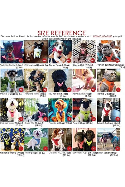 Tailpetz Air Mesh Harness Göğüs Tasması Yellow Small