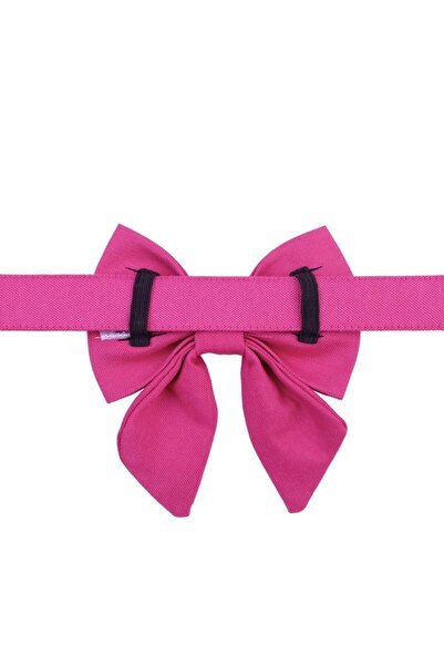 Lusi Doog Pembe Dişi Papyonlu Köpek Tasması ve Gezdirme Kayış Seti