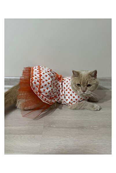 Gobo فستان كلب قطة أبيض بطبعة أوراق برتقالية مع شريط مقاس XLarge/XL/Size 4