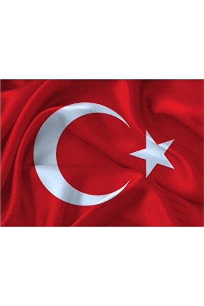 Alpaka Türk Bayrağı 4*6 Metre