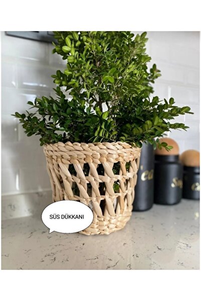 Süs Dükkanı Hasır saksı sepet modeli Ev balkon bahçe dekorasyonu saksı modeli...