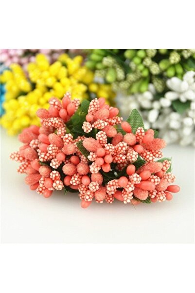 E Elmas زهرة الرمان زهرة بيتيرجيك سيبسو