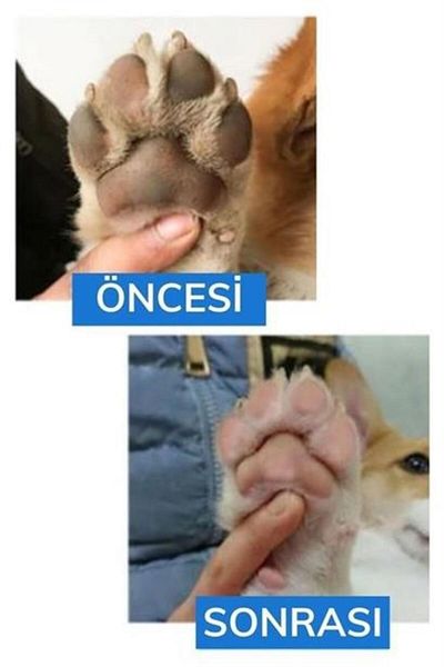 Ozn Store Cat Dog Paw Foot Cleaning Bucket with Large Silicone Gel Brush