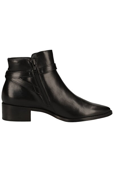 Paul Green Εξομάλυνση