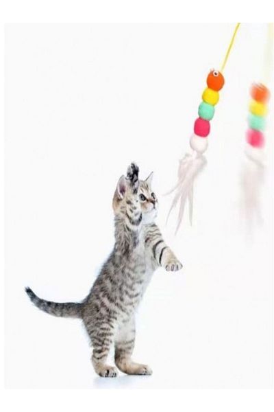 ugursepeti Elastic Cat Play Rod - Adhesive