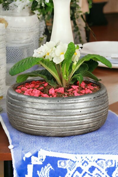 Kaktüs Saksı Dünyası El Yapımı Saksı Gümüş Eskitme Premium Kalite Dekoratif S...