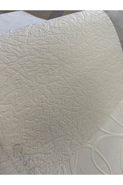 Seela Boyanabilir Duvar Ve Tavan Kağıdı 6550 ( 26,50 M2 Rulo )