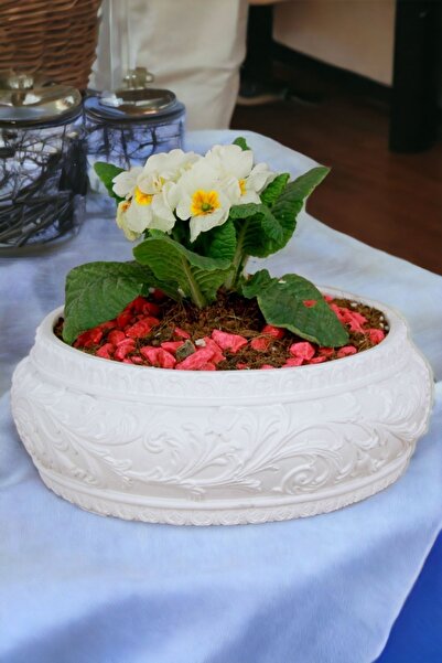 Kaktüs Saksı Dünyası El Yapımı Saksı Beyaz Premium Kalite Dekoratif Saksı Mod...