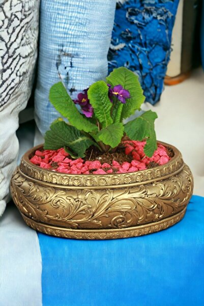 Kaktüs Saksı Dünyası El Yapımı Saksı Altın Eskitme Premium Kalite Dekoratif S...