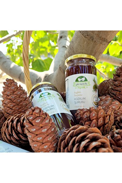 Germencik Organik 2 Adet 450ml Kozalak Şurubu