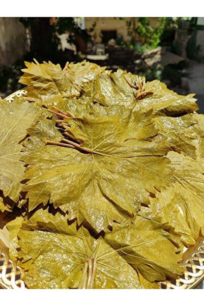 Hatay yöresel pazar Asma Yaprağı 5 lt ilk bidon