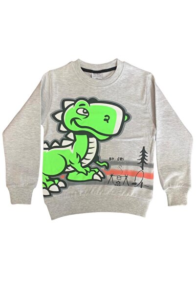 BY-GRİ ÖN VE ARKA DİNAZOR BASKILI YUVARLAK YAKALI 2 İPLİK ŞARDONLU ERKEK ÇOCU...