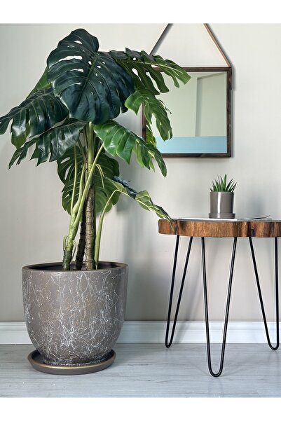 odka 40litre Klasik Saksı Tabaklı 40cmx40cm Lily Vizon Gold Beyaz