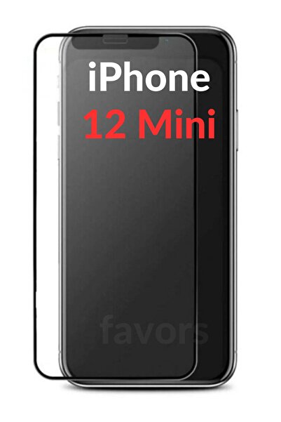 Favors Apple iPhone 12 Mini Tam Kaplayan Nano Teknoloji Mat Seramik Kırılmaz ...