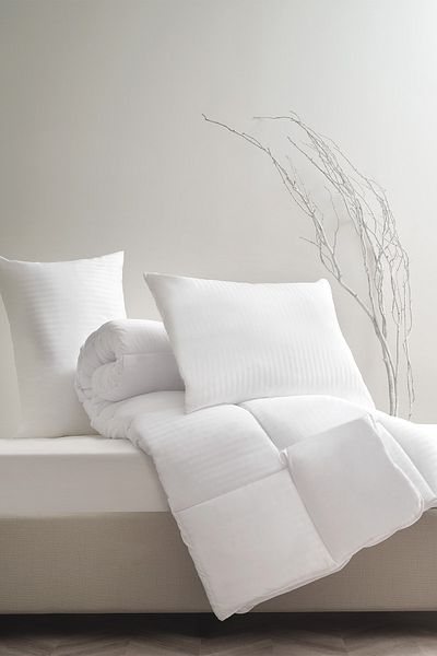 Puffy Aster Pillow - Stylish and Comfortable Design