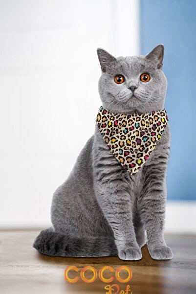 Cocopet Desenli Fular Bandana Kedi Tasması Leopar Desenli Model-1014