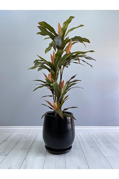 odka Armut Model Saksı H: 40cmx32cm Tabaklı Siyah Renk