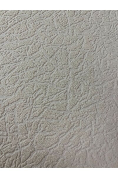 Seela Boyanabilir Duvar Ve Tavan Kağıdı 6550 ( 26,50 M2 Rulo )