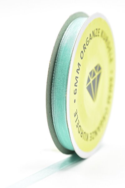 E Elmas شريط أورجانزا أخضر نعناعي (6 مم - 20 م)