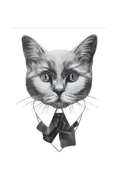 Cadence Fabric Transfer Black White PAFT07 21x30 cm