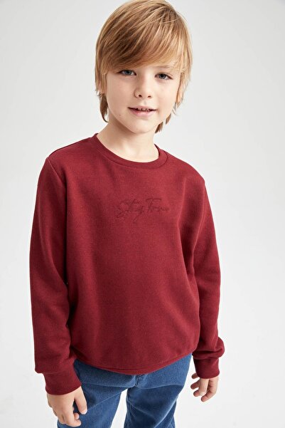 DeFacto Boy's Crew Neck Sweatshirt