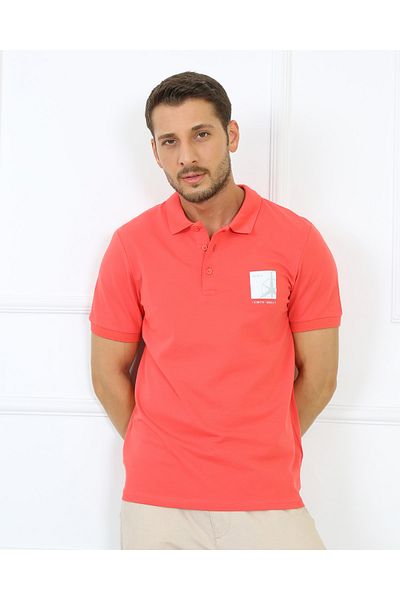 UOMOPARK 2061-1 ΠΡΟΣΑΡΜΟΣΜΕΝΗ ΣΥΛΛΟΓΗ ΑΝΔΡΙΚΟ T-shirt με λαιμόκοψη POLO PRINTED REGULAR FIT